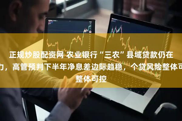 正规炒股配资网 农业银行“三农”县域贷款仍在发力，高管预判下半年净息差边际趋稳，个贷风险整体可控