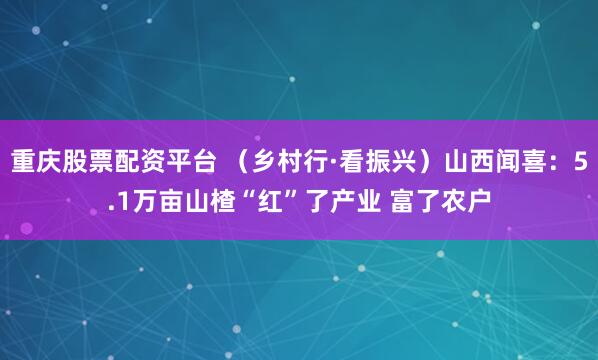 重庆股票配资平台 （乡村行·看振兴）山西闻喜：5.1万亩山楂“红”了产业 富了农户