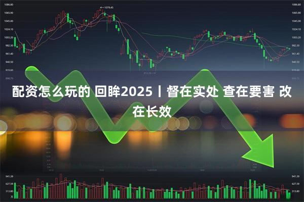 配资怎么玩的 回眸2025丨督在实处 查在要害 改在长效