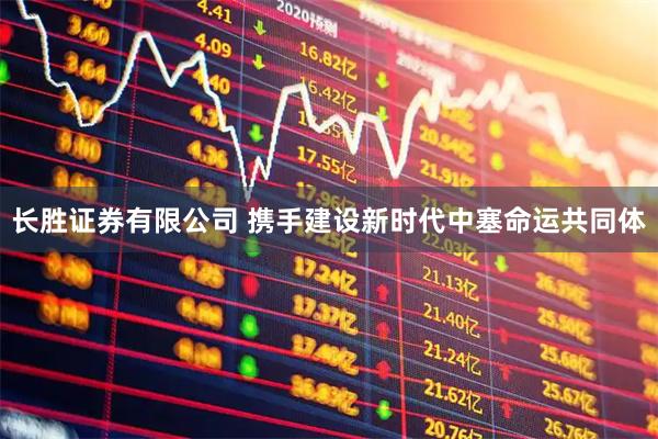 长胜证券有限公司 携手建设新时代中塞命运共同体